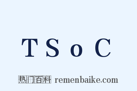TSoC是什么意思的图片
